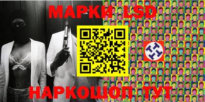 прущие грибы Гатчина