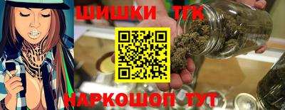 прущие грибы Гатчина