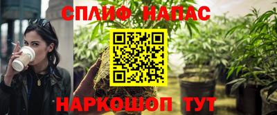 мдпв Гагарин