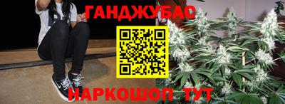 прущие грибы Гатчина