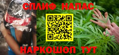 мдпв Гагарин