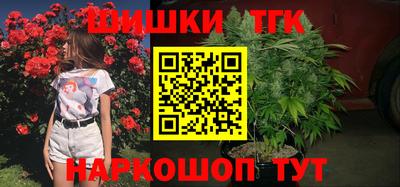 мдпв Гагарин