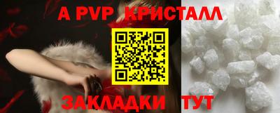 прущие грибы Гатчина