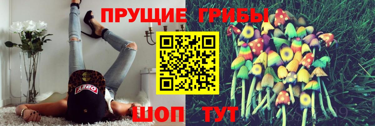 Псилоцибиновые грибы Cubensis  Вход с VPN  цена   Магнитогорск 
